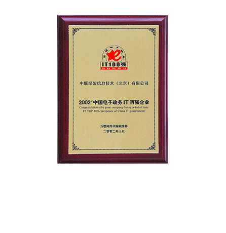 2002����й���������IT��ǿ��ҵ