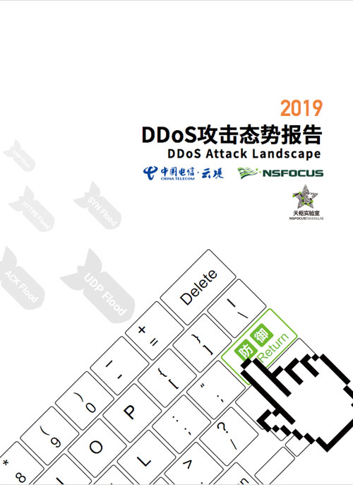 2019 DDoS ����̬�Ʊ���