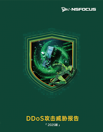 ��DDoS������в���棨2025�棩��