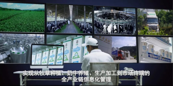 中国4688美高梅集团(股份)有限公司-官方网站